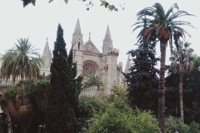 Private 4-Hour Guided Tour of Palma de Mallorca with Driver & Hotel/Port Pickup