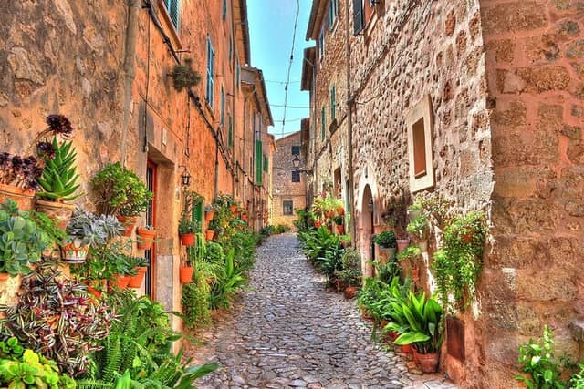 Mallorca Shore Excursion: Private Tour of Valldemossa & Palma