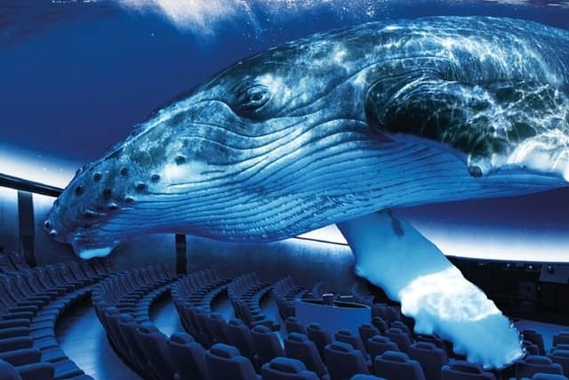 Palma Aquarium