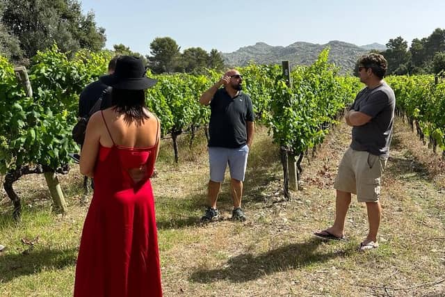 Full-Day Private Wine Tour: 3 Wineries in Mallorca