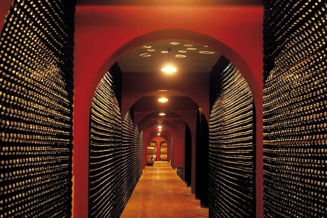 Flavours and Wines of Mallorca – Private Guided Experience