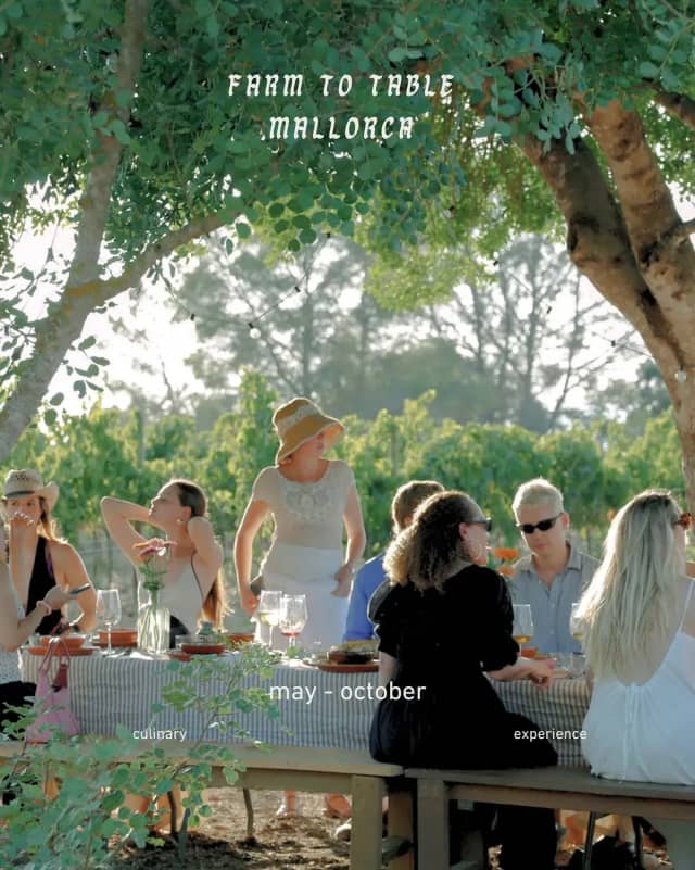 Private Dinner Experience