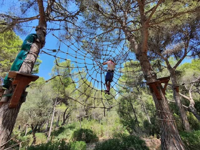 Tree-top Rope Courses