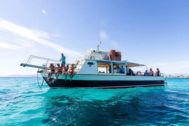 Boat Tour in Palma Bay