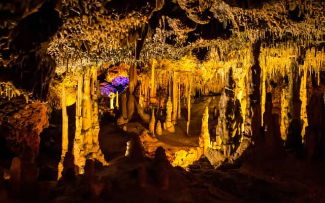 Hams' Caves & Porto Cristo Half-Day Trip from Palma