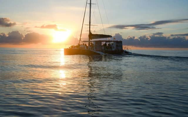 Mallorca Sunrise and Dolphin Watching Catamaran