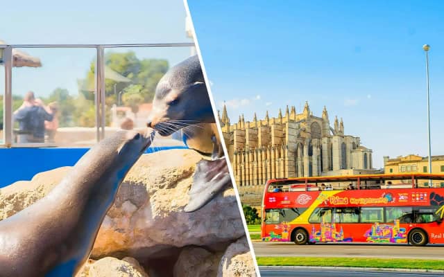 Marineland Mallorca Tickets + Palma Hop-on Hop-off Bus Tour