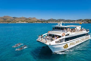 Palma de Mallorca: 3-Hour Dolphin Watching Boat Excursion with Swim & Snorkelling