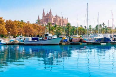 Palma de Mallorca Boat Tour