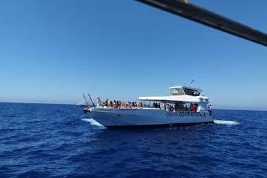 Port d'Andratx Catamaran Cruise from Mallorca